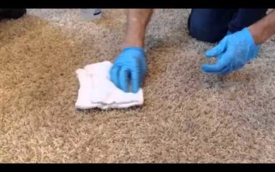 Carpet Cleaning | Stain Removal | Grease Stain