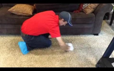 Carpet Cleaning | Stain Removal | High Traffic Area